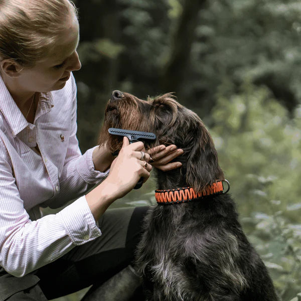 Greblă pentru câini – oțel acoperit, 1 rând