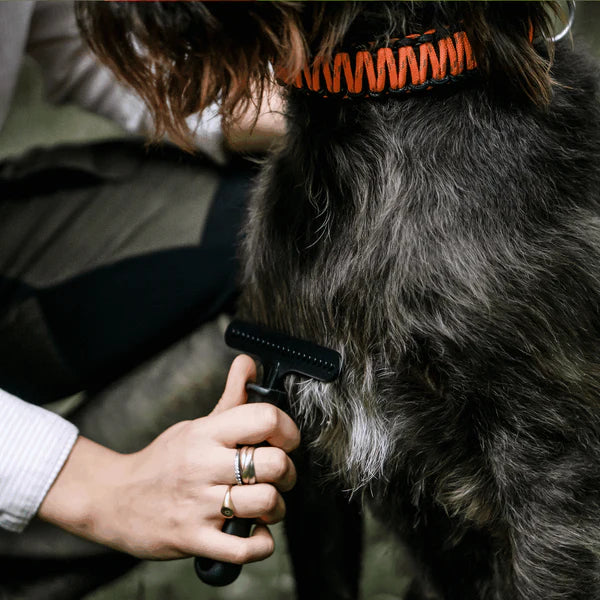 Greblă pentru câini – oțel acoperit, 1 rând