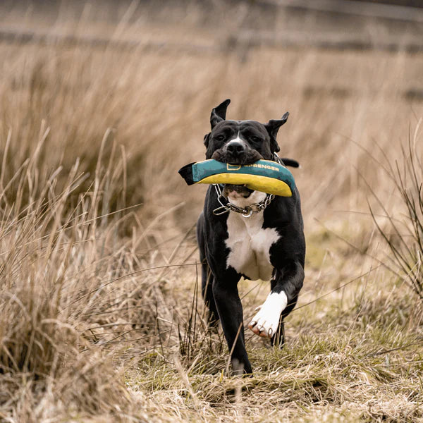 Jucărie pentru câini Sprenger – Perna moale de mușcat M