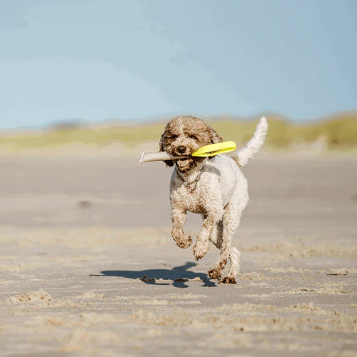 Jucărie tip furtun de incendiu Sprenger