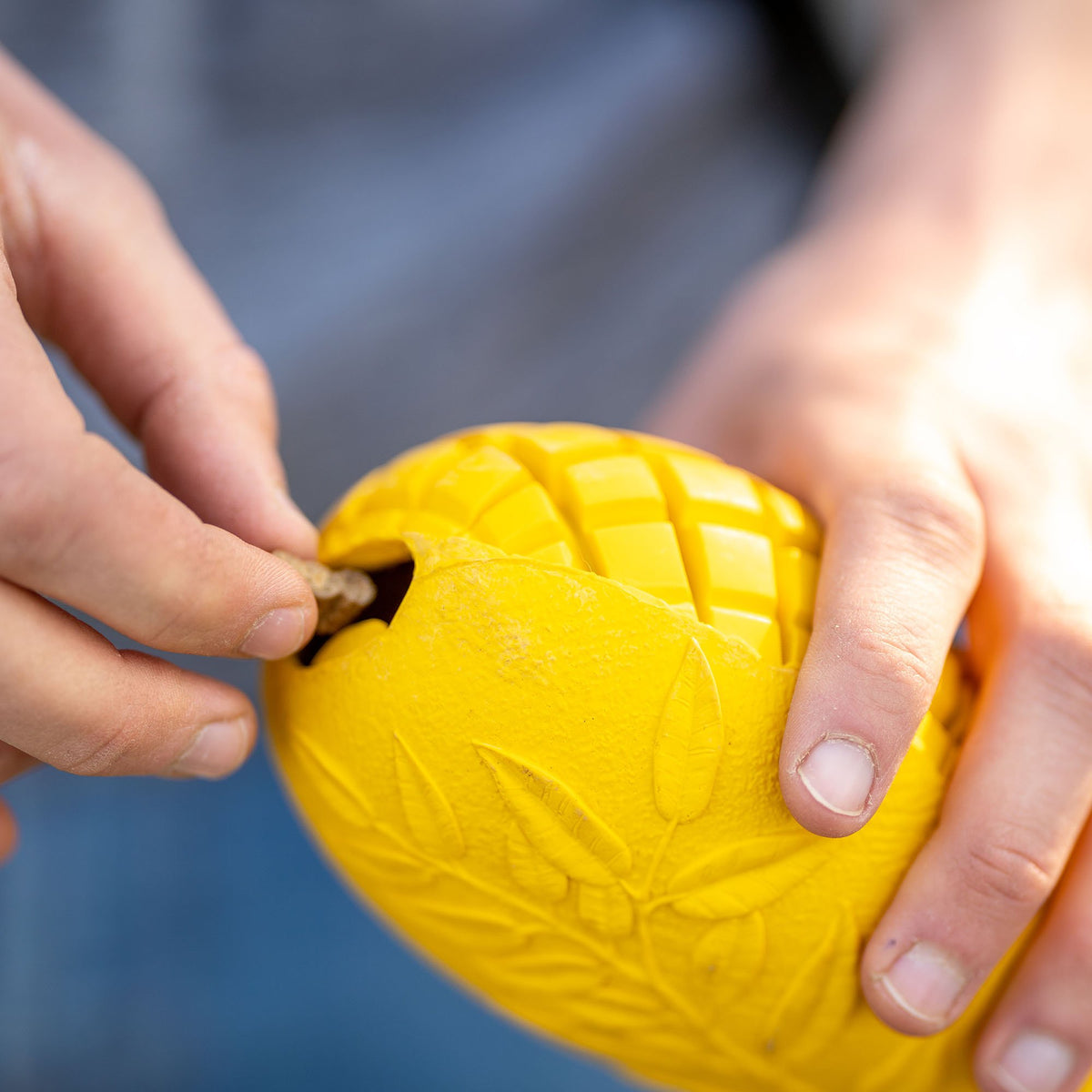 Jucărie pentru câini Sprenger FRUIT CHALLENGE „Mango”