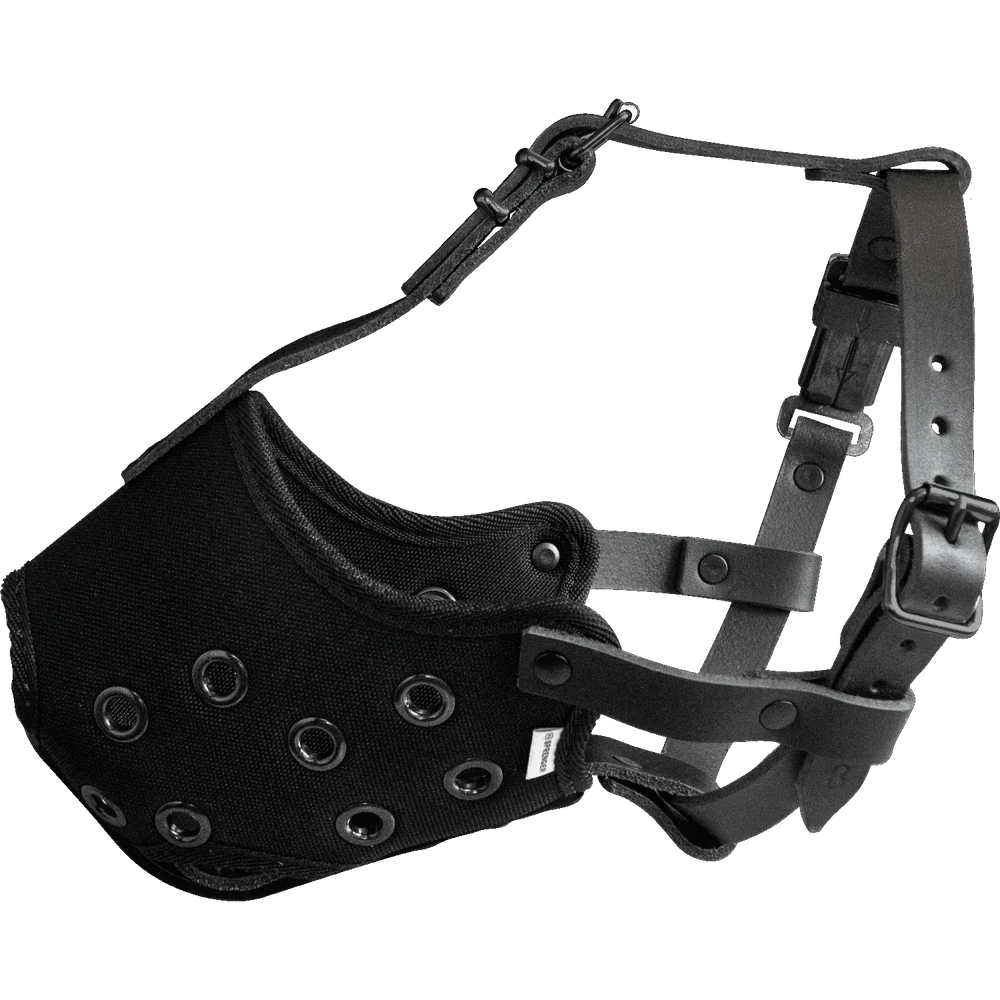 Botniță – Cordura