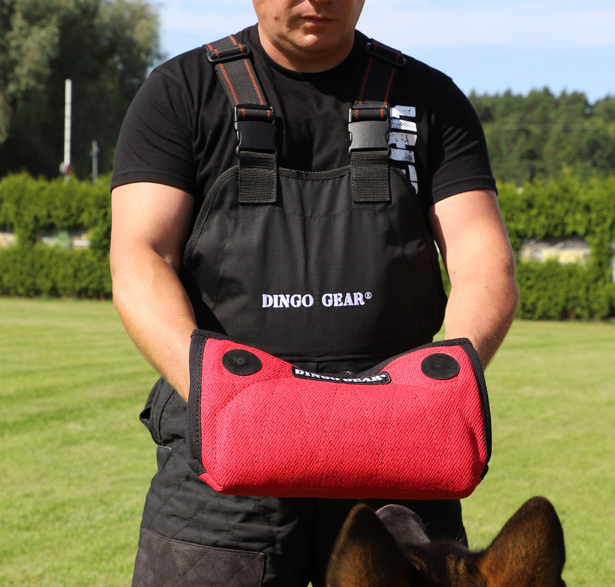 Dingo Gear – Pantaloni de dresaj ușori din Cordura