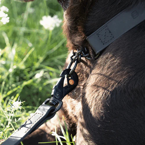 Lesă BioThane® pentru câini, 1,2 m Sprenger