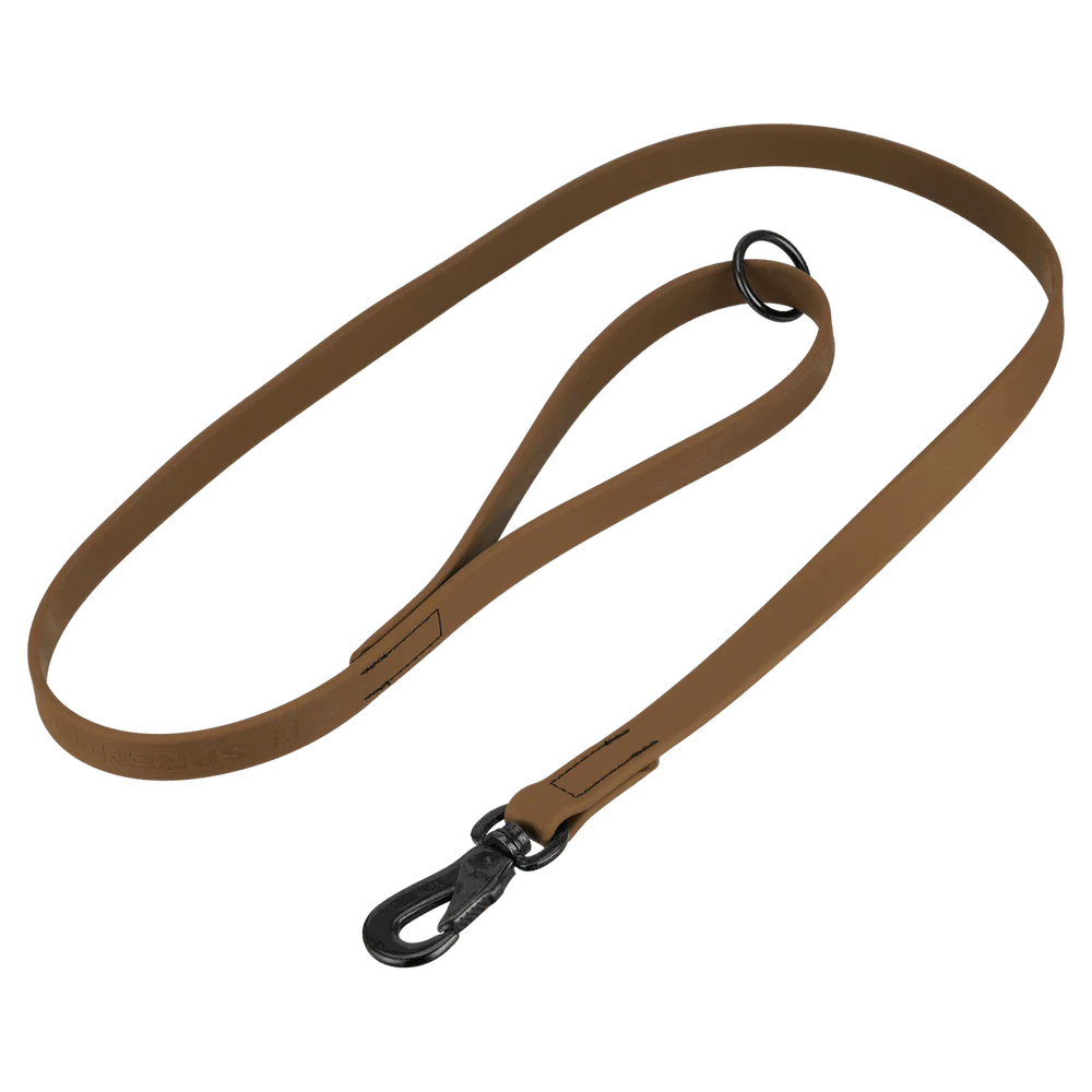 Lesă BioThane® pentru câini, 1,2 m Sprenger