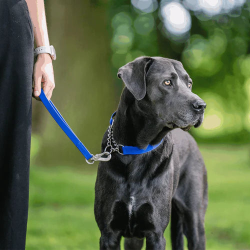 Lesă scurtă BioThane® Sprenger