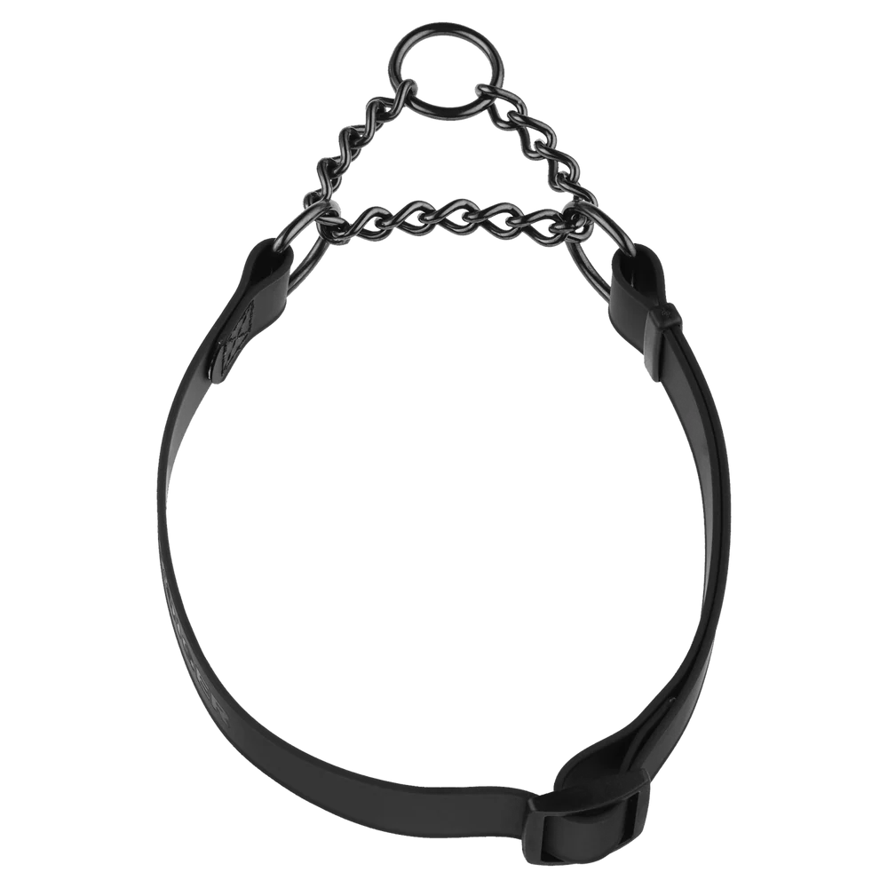 Zgardă martingală reglabilă BioThane® 40–65 cm