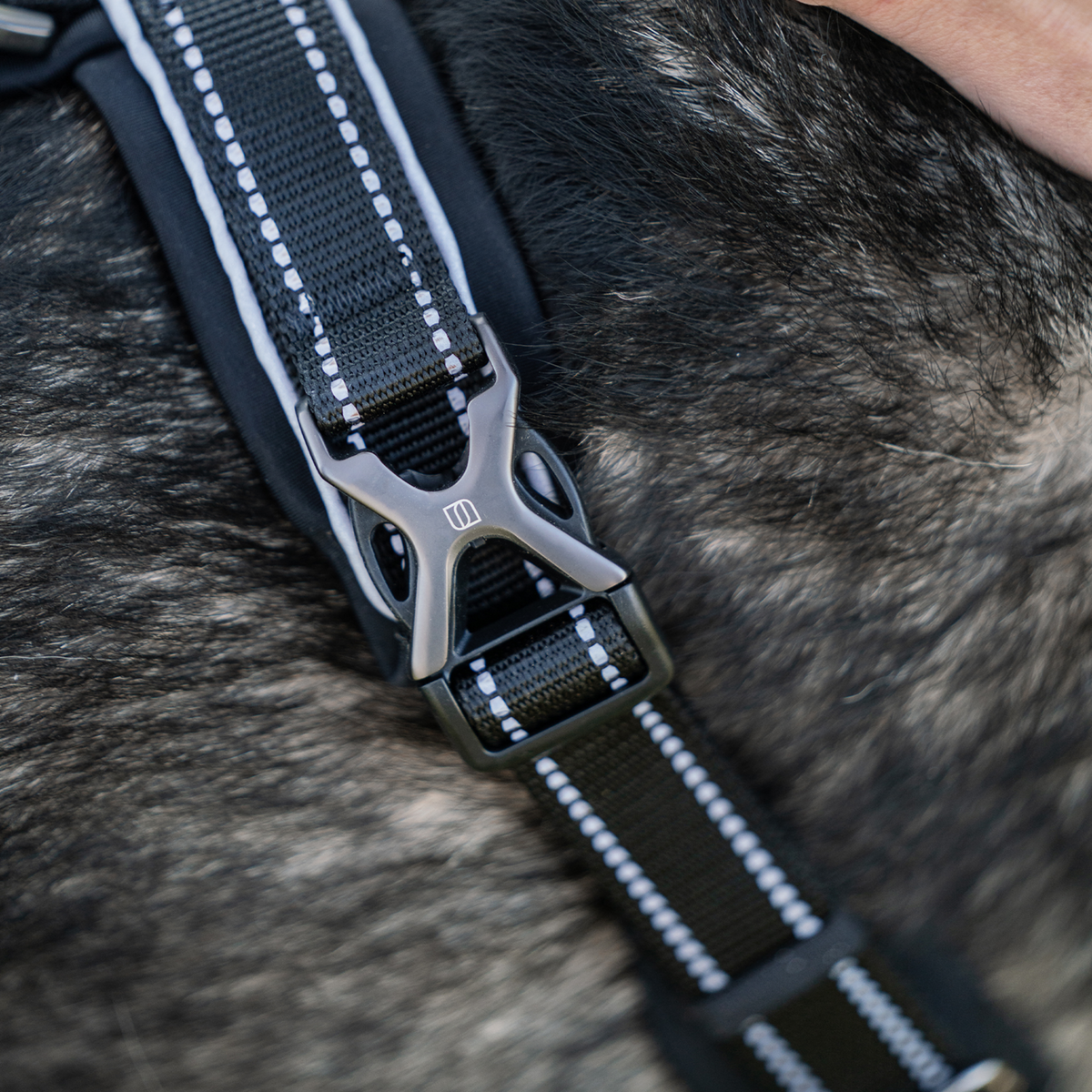 Ham pentru câini Y-Harness Sprenger