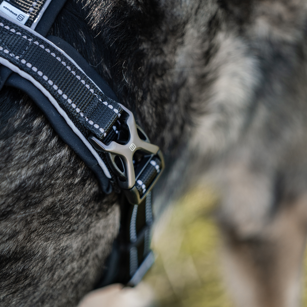 Ham pentru câini Y-Harness Sprenger