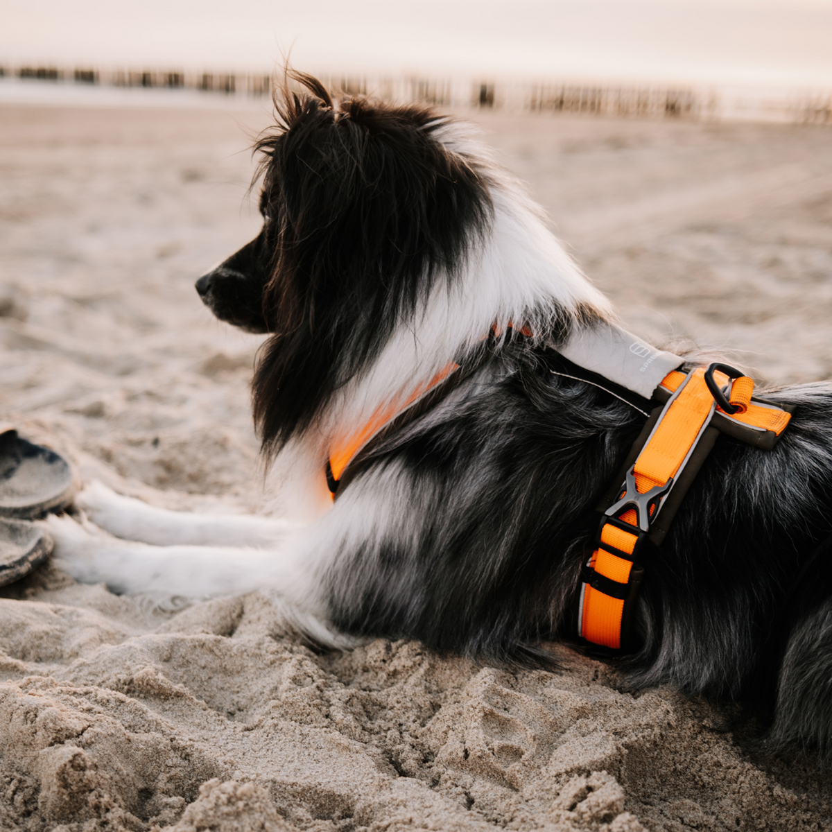 Ham pentru câini Y-Harness 2.0