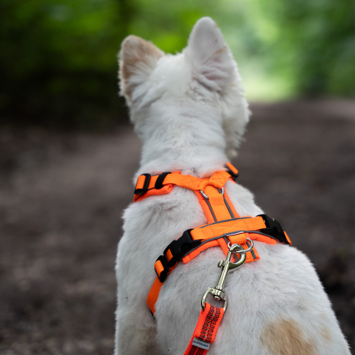 Ham pentru câini Y-Harness 2.0