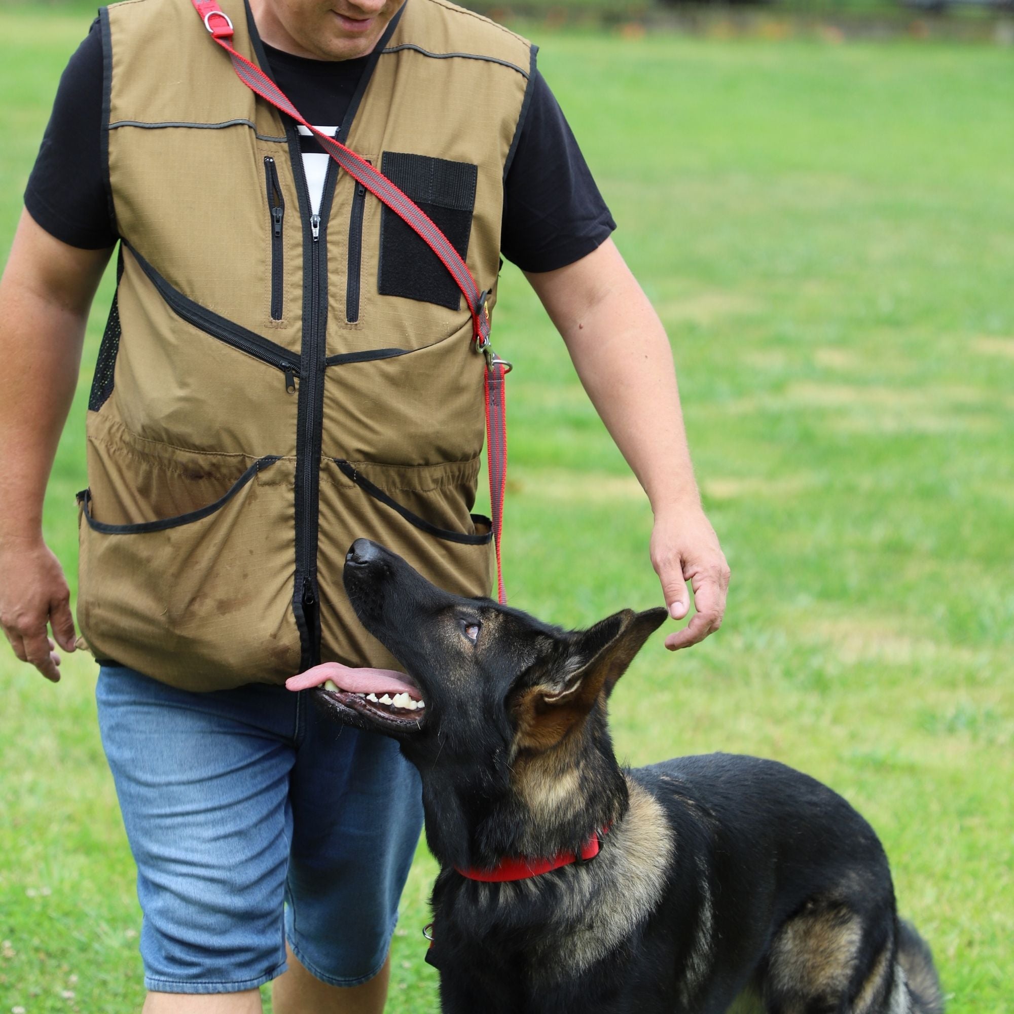 Lesă reglabilă cauciucată