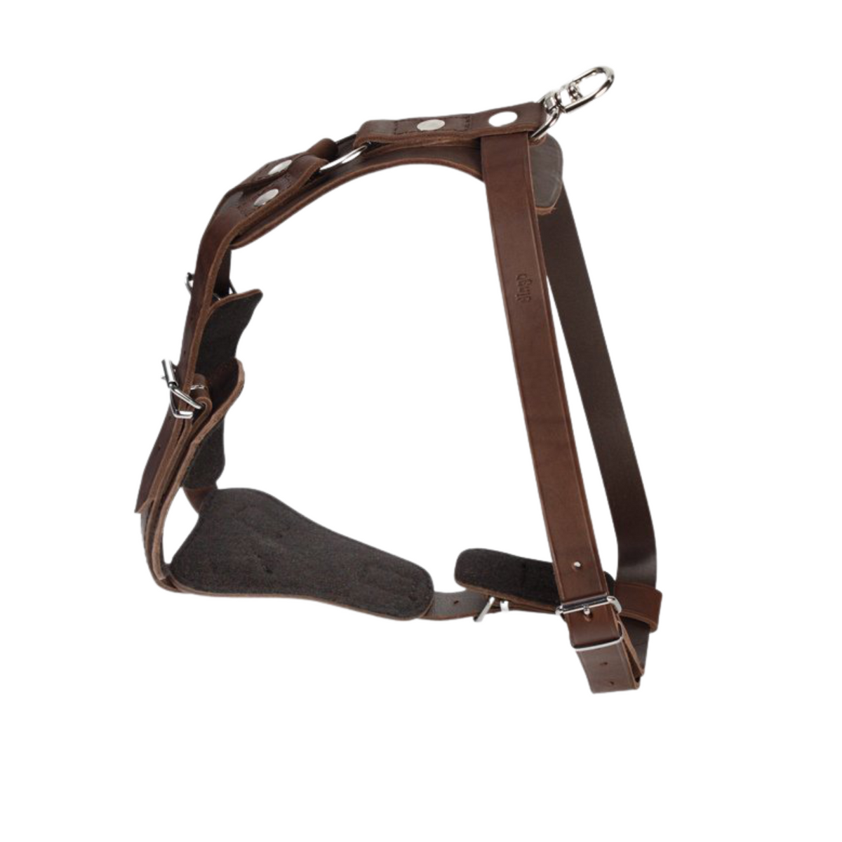 Ham de dresaj pentru câini GYPSY