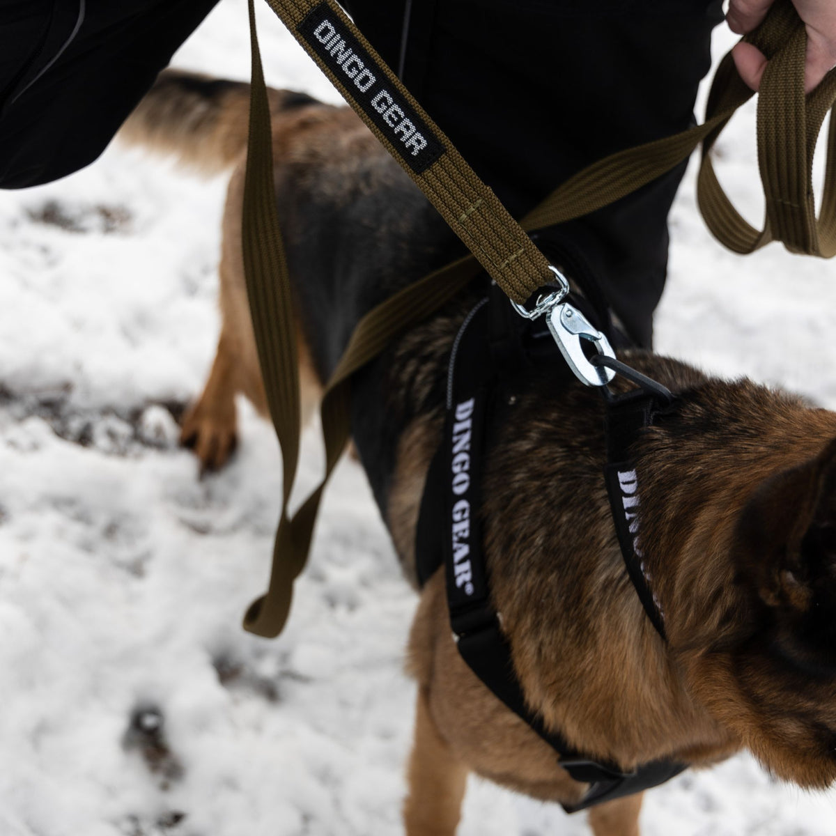 Dingo Gear – ham de lucru cu sistem COBRA