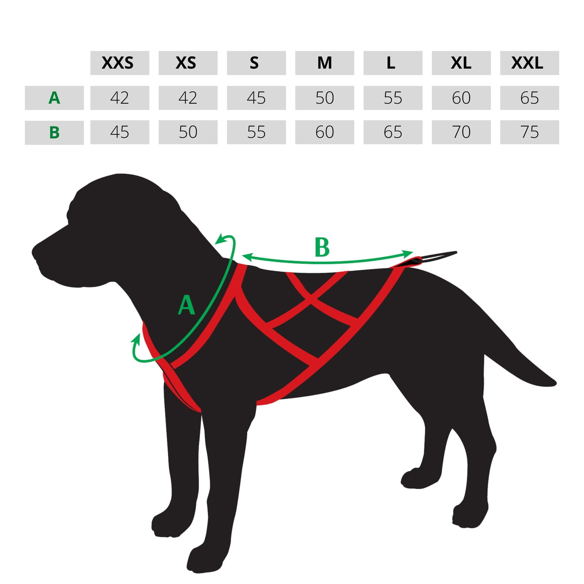 Ham de tracțiune pentru dogtrekking