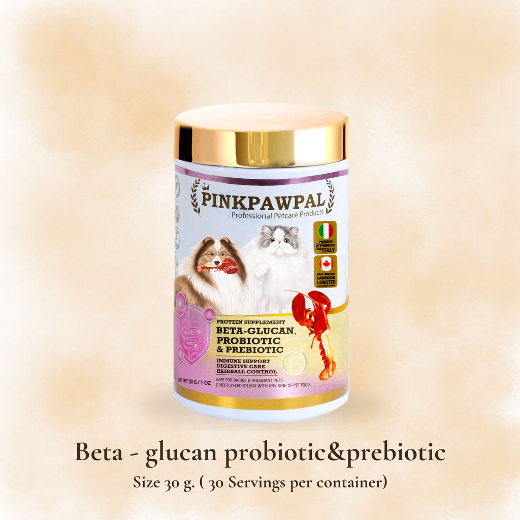 Beta-Glucan Probiotic & Prebiotic – Supliment pentru Imunitate și digestie cu Probiotice și Prebiotice