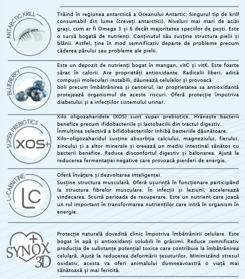 Hrana Uscata Pisica Natura Low Grain Adult cu Somon și Afine, 2 Kg