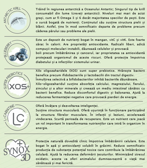 Hrana Uscata Pisica Natura Low Grain Adult Natura cu Miel și Afine, 2 Kg