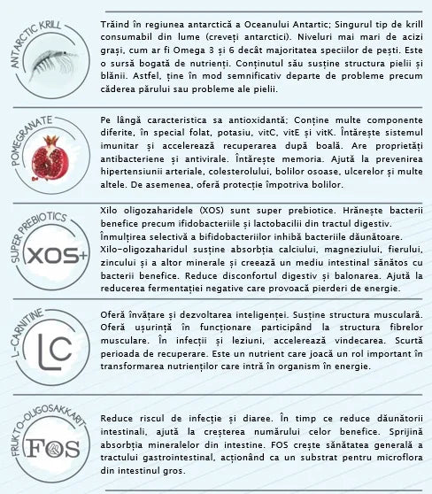 Natura Low Grain Mini Puppy – Hrană cățeluși (junior) cu somon si afine 2.75 kg