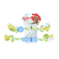 Set de jucării cu frânghii dentare din plastic Natura Puppy PTH-034