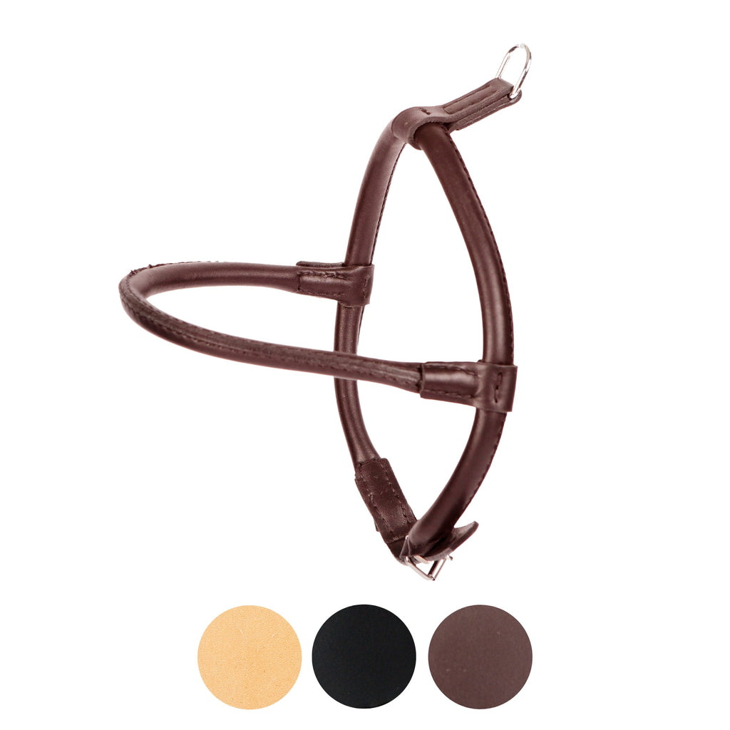 Ham pentru câini Chow Chow