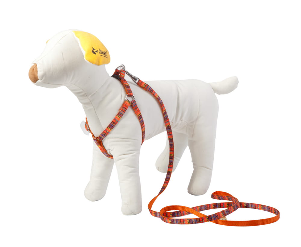 Lesă pentru câini de talie mică și pisici America