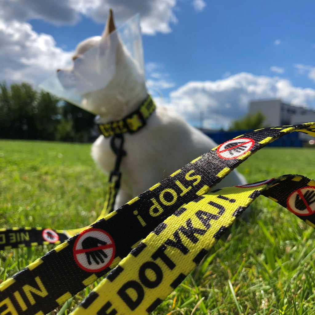 Lesă galbenă pentru câini „NU ATINGE”