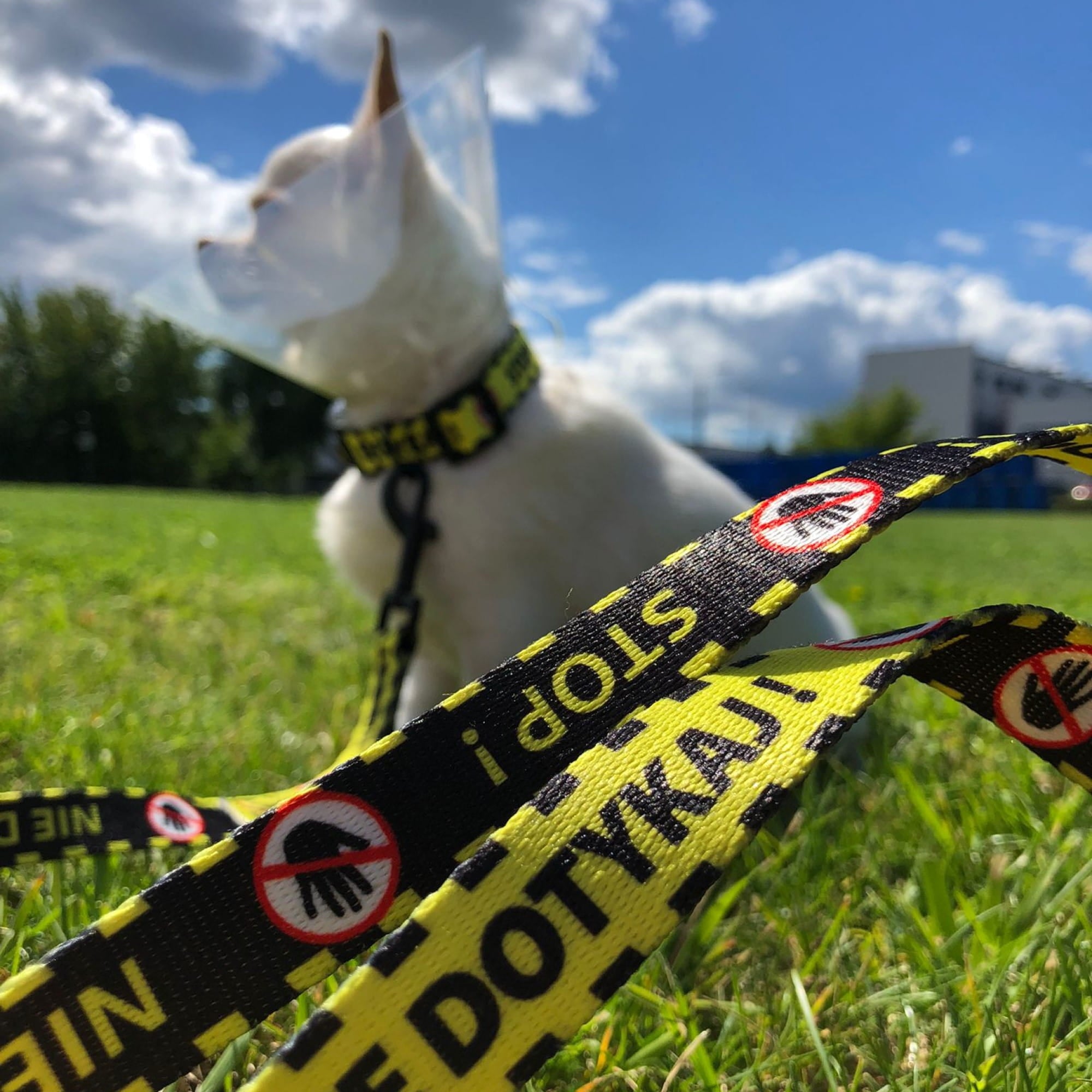 Lesă galbenă pentru câini „NU ATINGE”