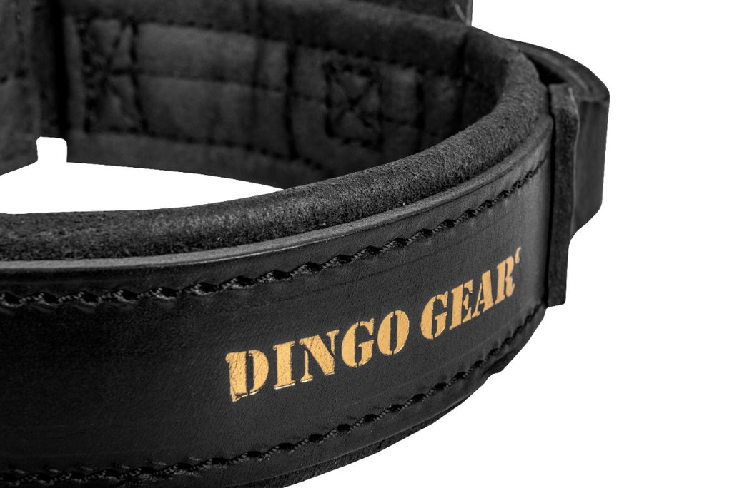 Dingo Gear – Zgardă DRAGO – zgardă K9 din piele cu mâner pentru dresaj profesional