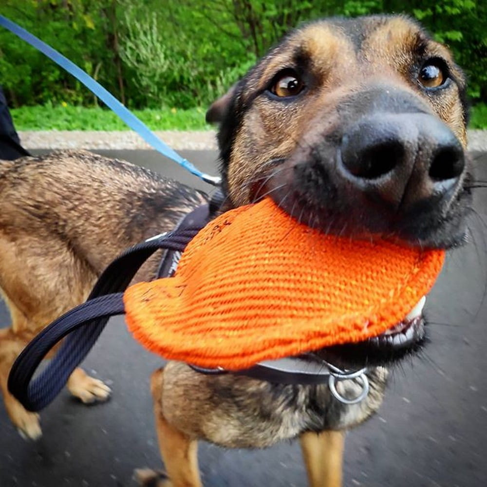 Dingo Gear BERTA – Jucărie tug mică din Nylcot cu un mâner