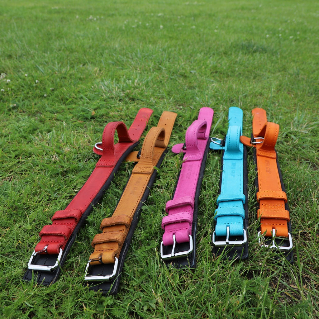 Dingo Gear – Zgardă DRAGO – precizie din piele în slujba dresajului profesional