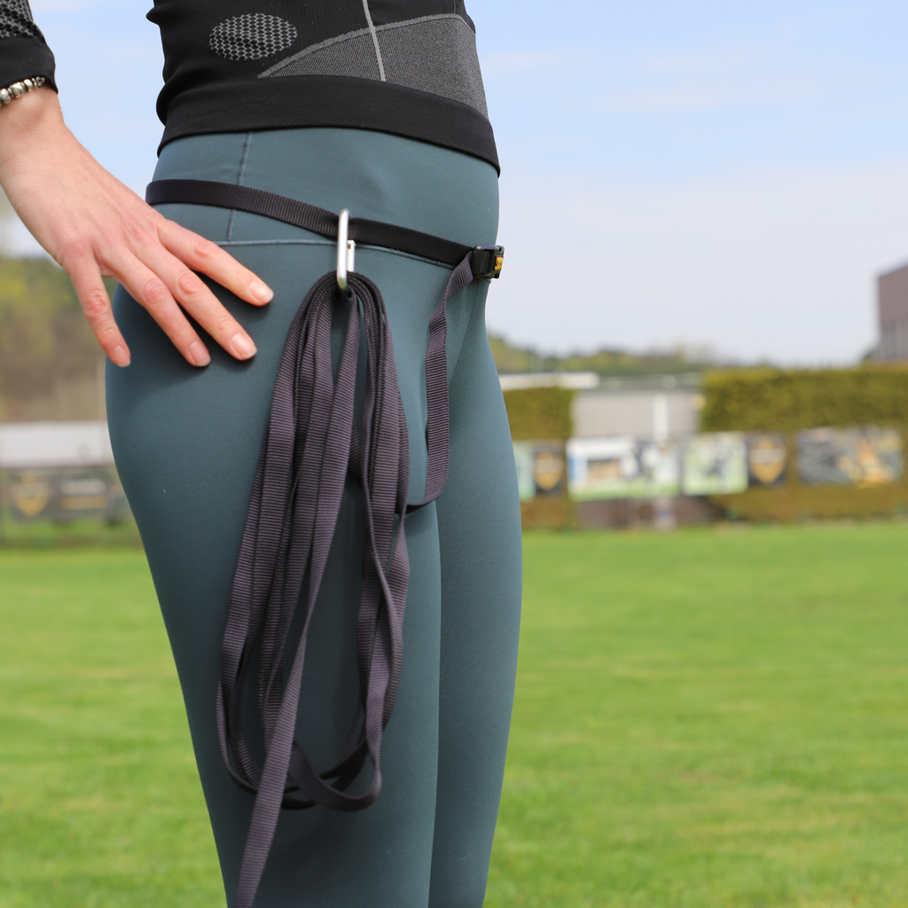 Centură de plimbare cu amortizor de șoc