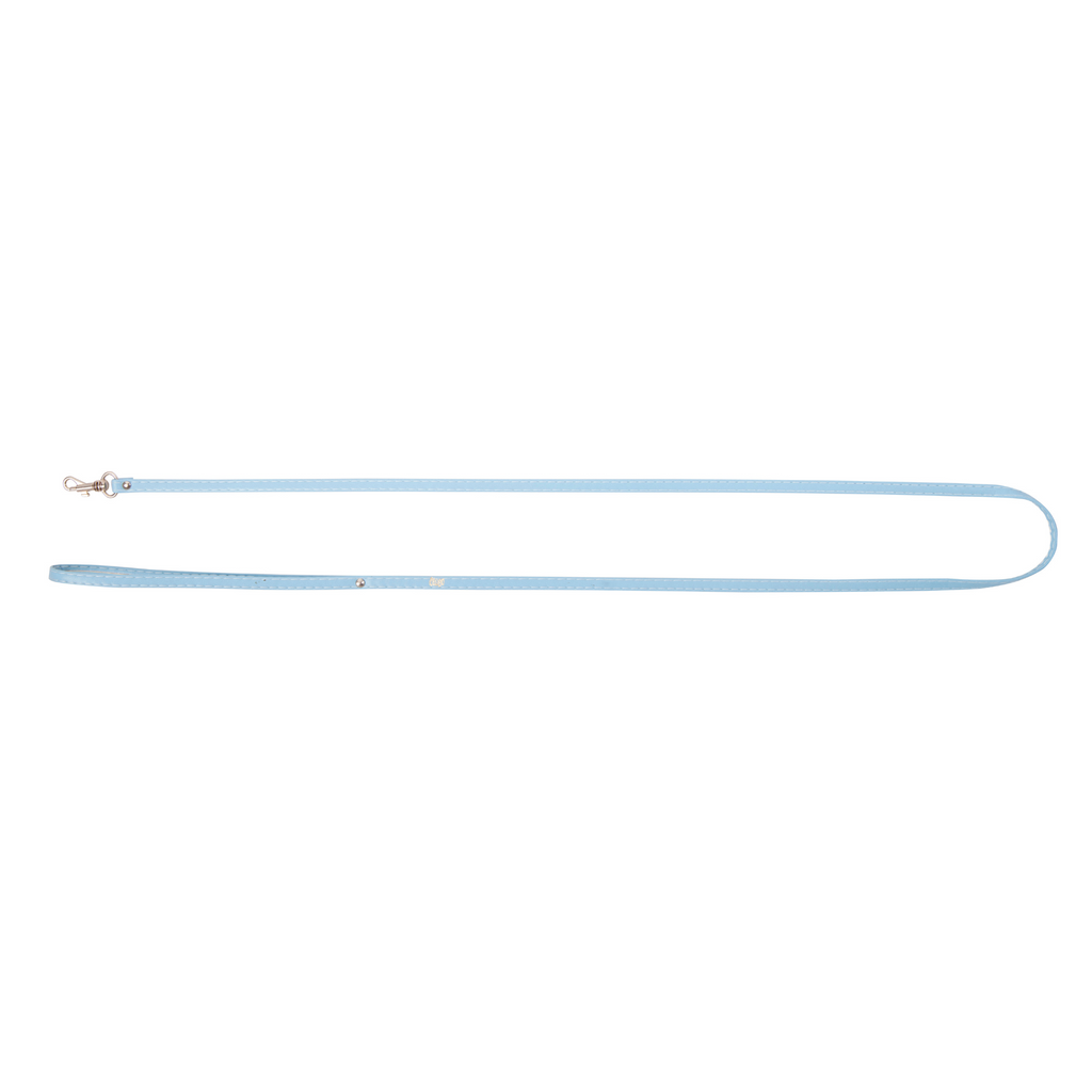 Lesă simplă pentru câini Basic