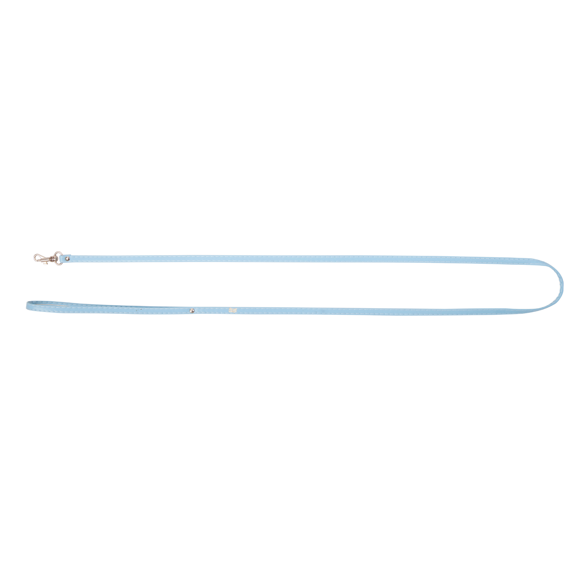 Lesă simplă pentru câini Basic