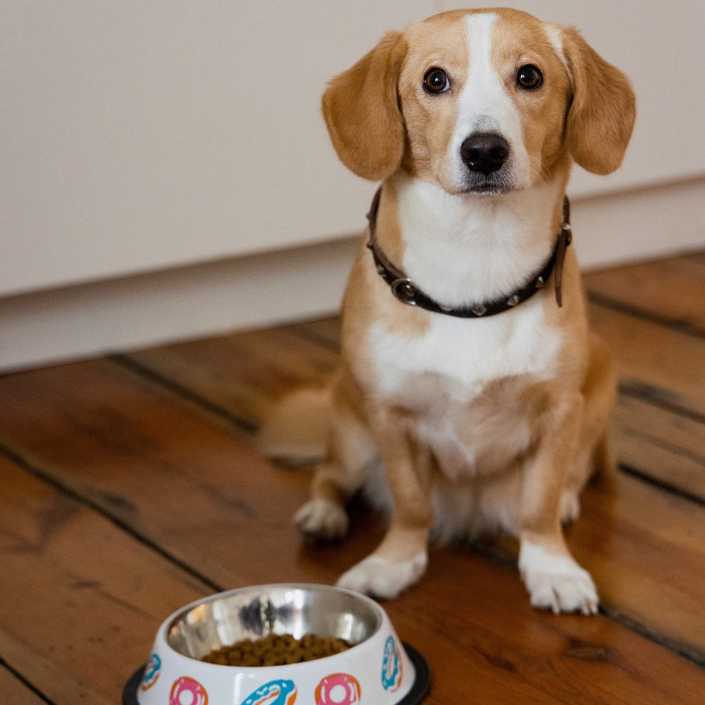 Bol metalic cu inele din cauciuc