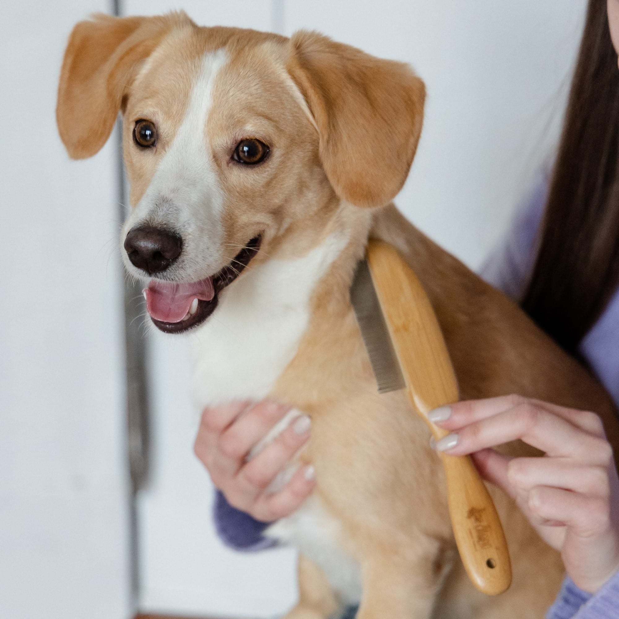 Pieptene cu mâner din bambus și dinți rotativi (21)