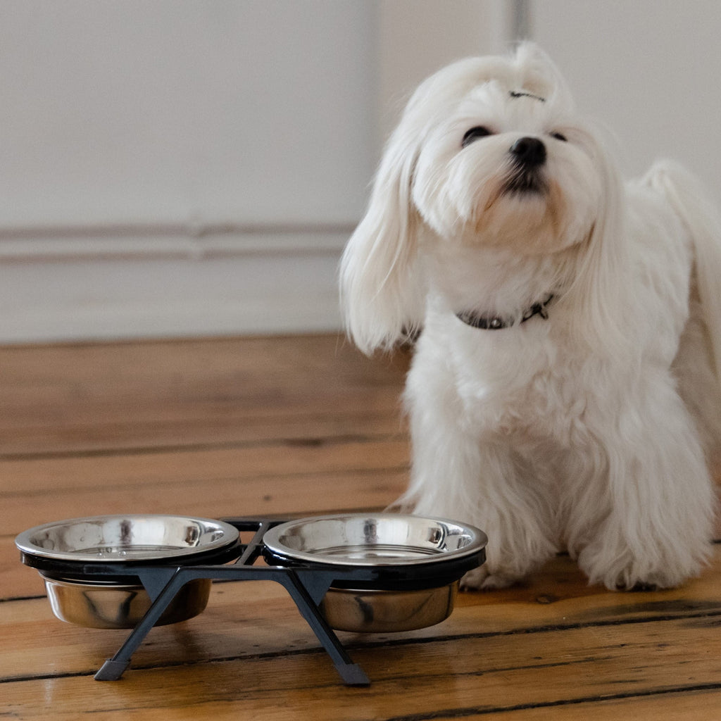 Boluri metalice pe suport