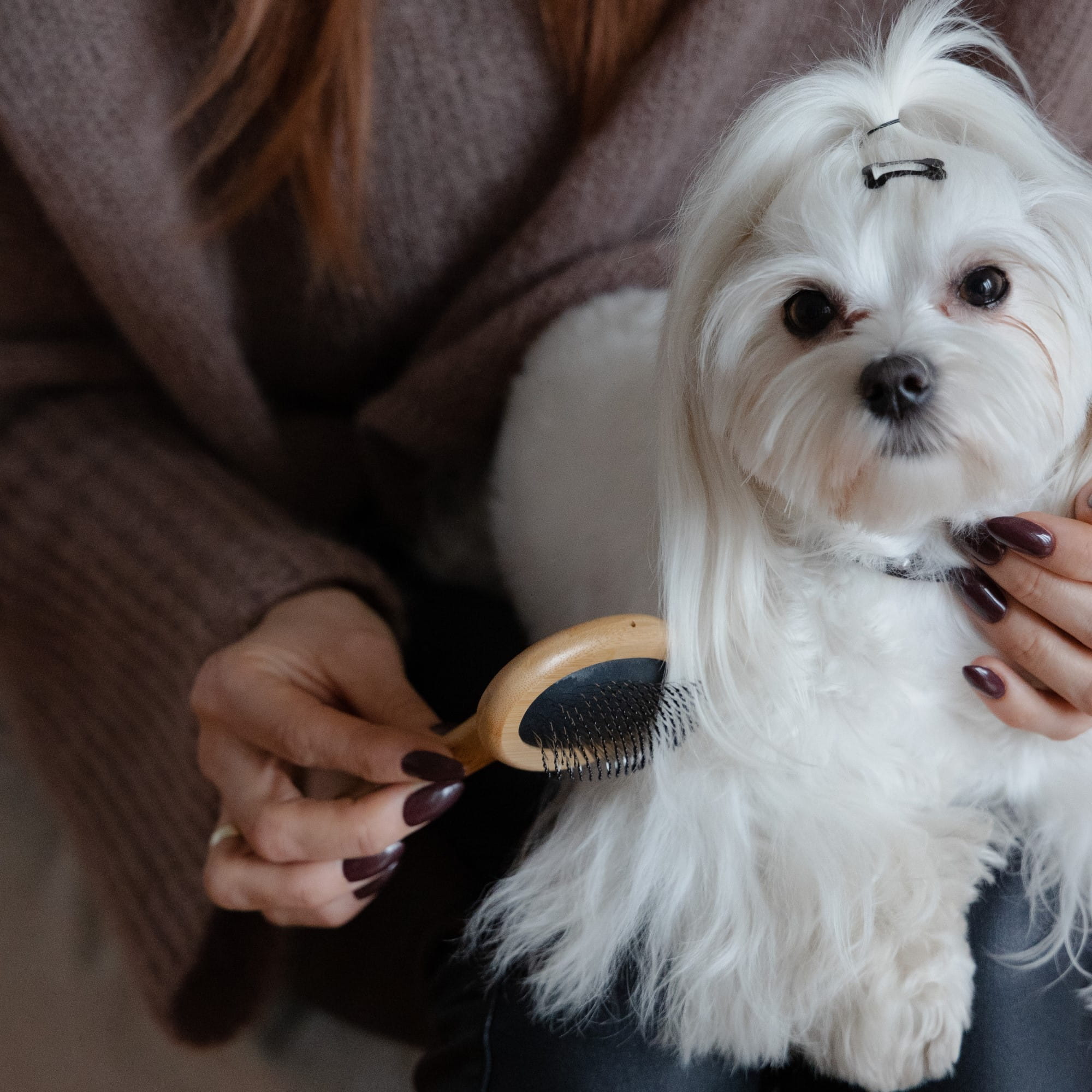 Perie ovală din bambus s