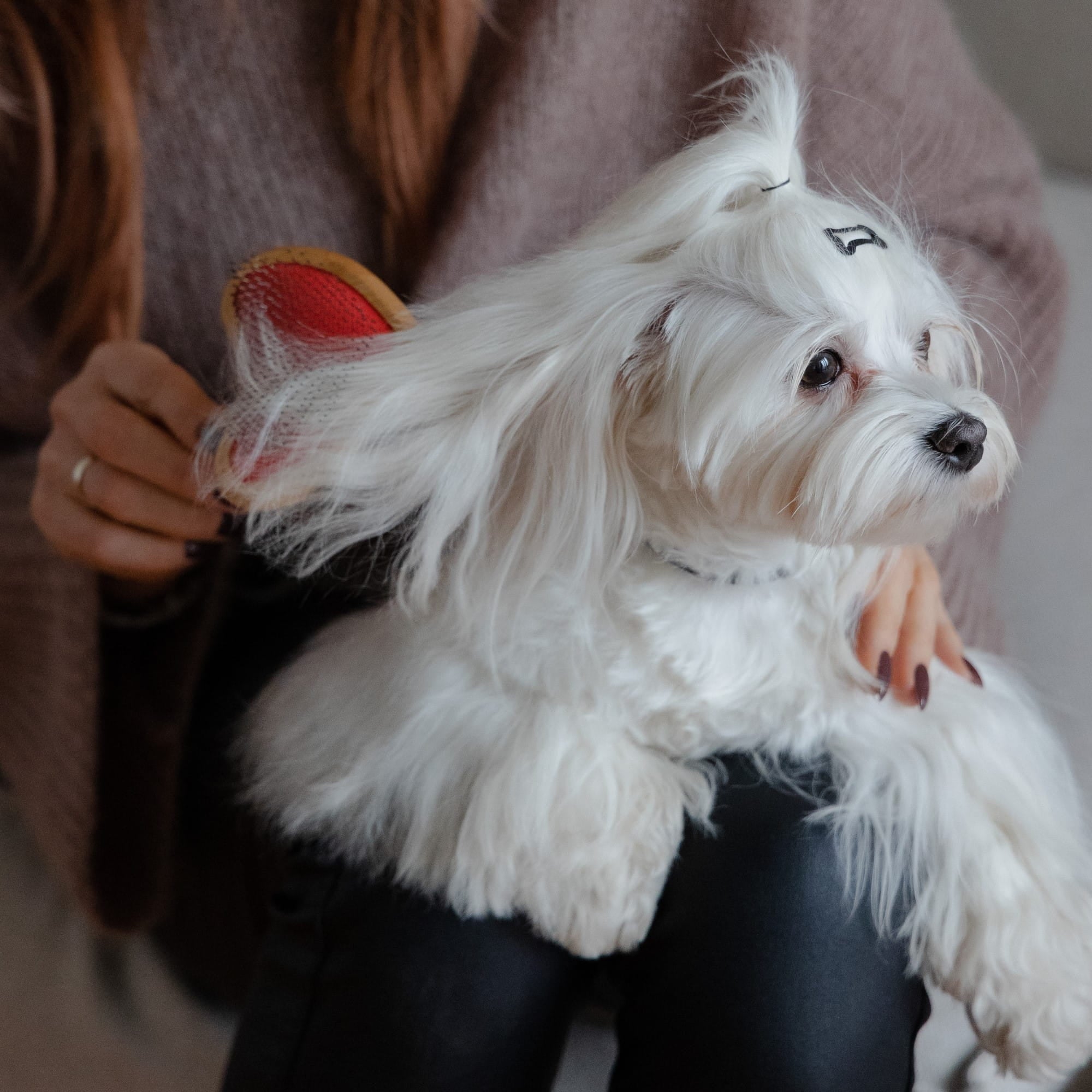 Perie din bambus în formă de inimă