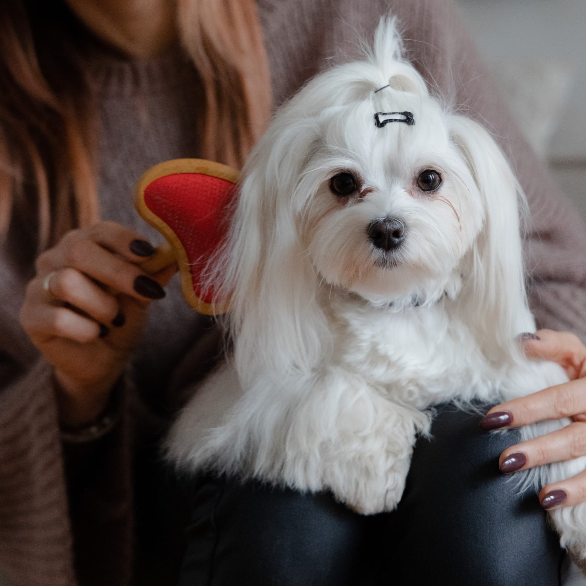 Perie din bambus în formă de inimă