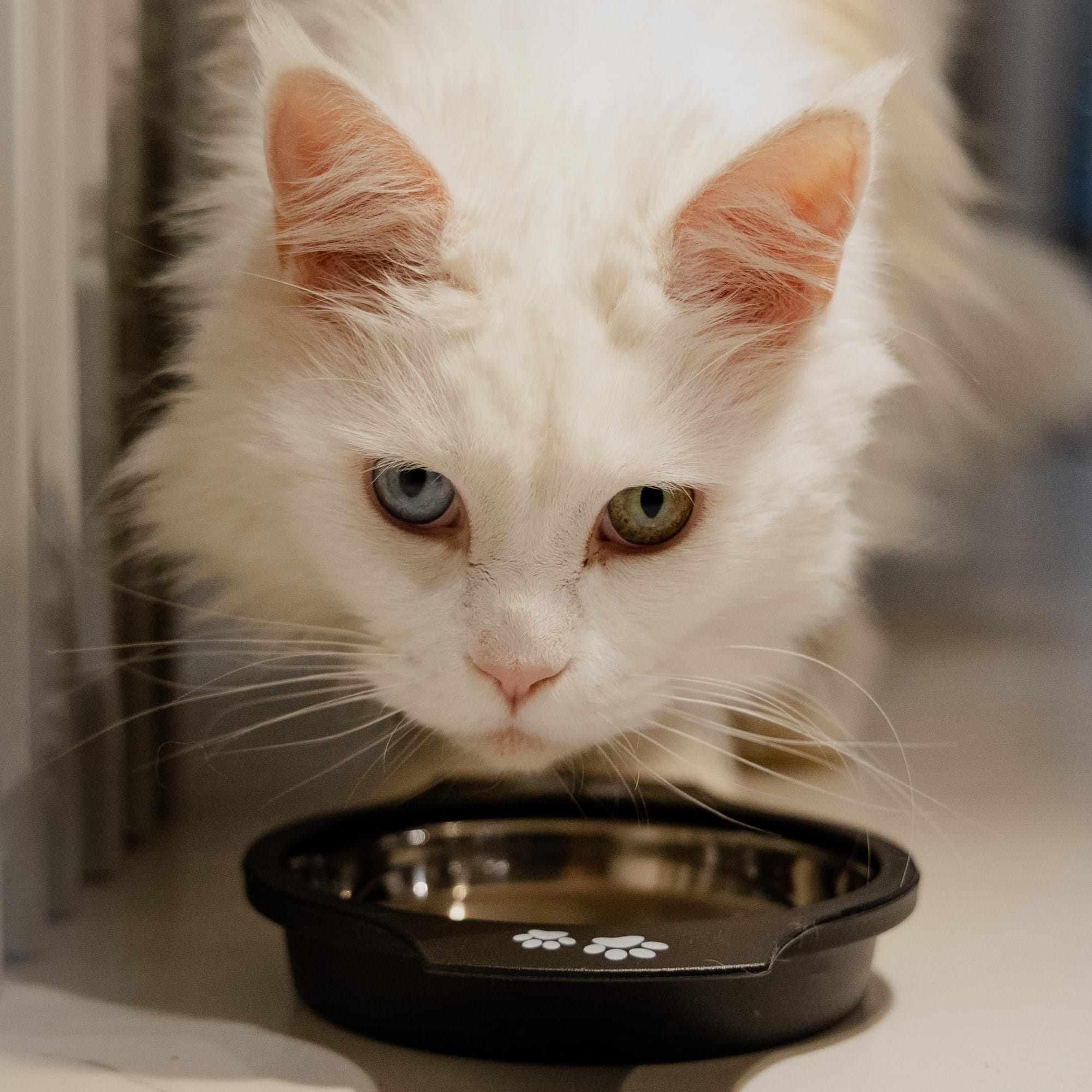 Bol metalic cu mânere antiderapant