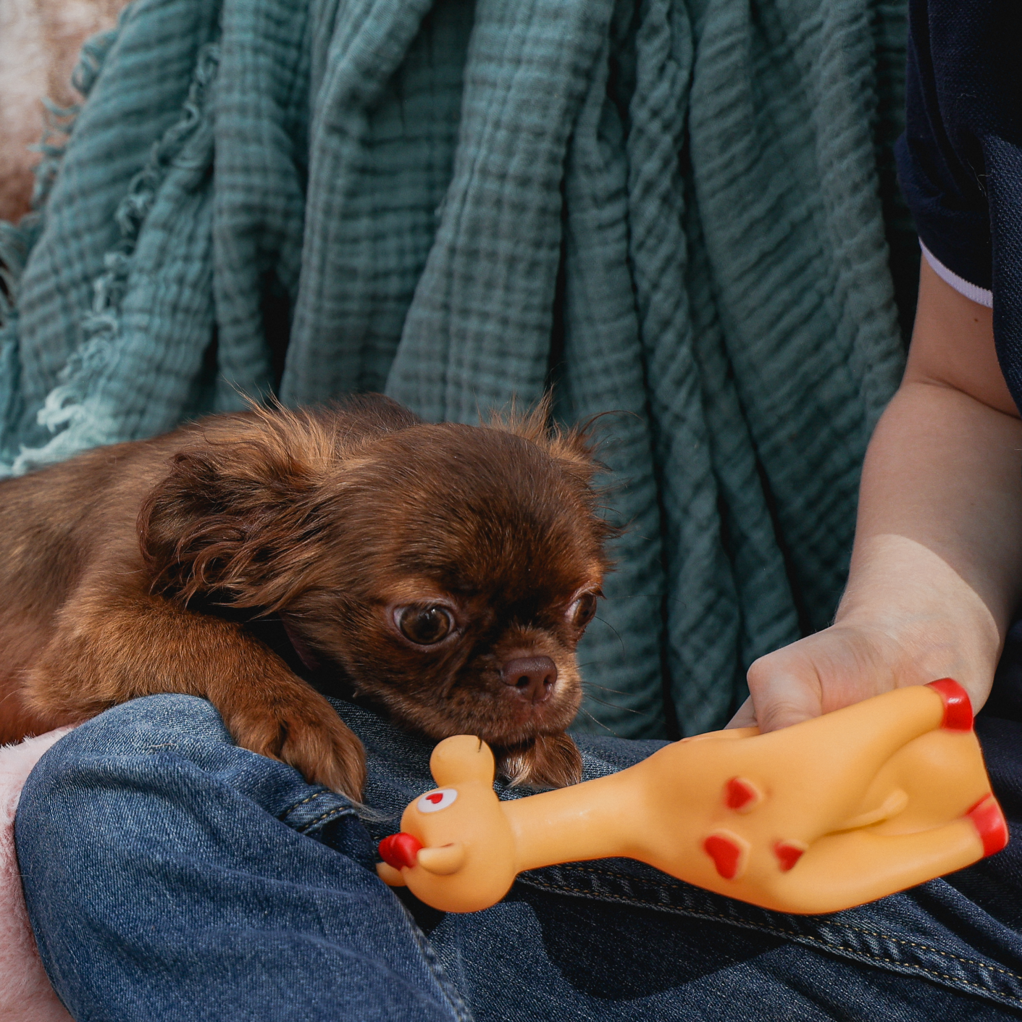 Jucărie pentru câine Girafa Stella