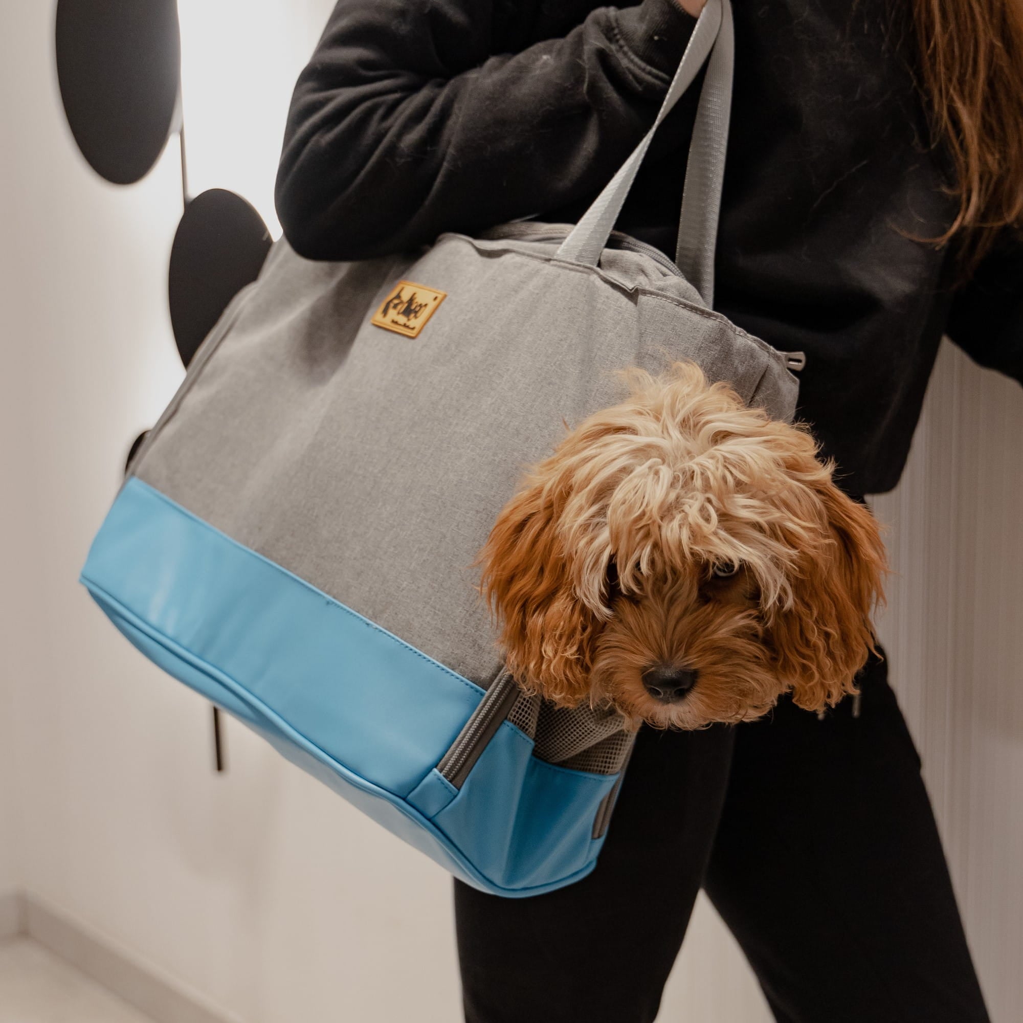 Geantă de transport pentru animale albastru-gri 41 × 20 × 30 cm