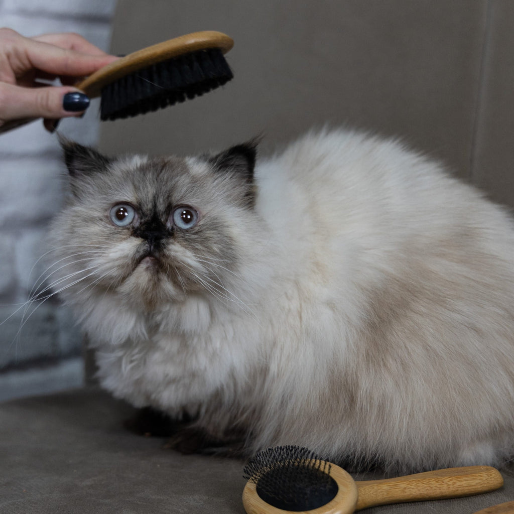 Perie din bambus cu peri din nailon