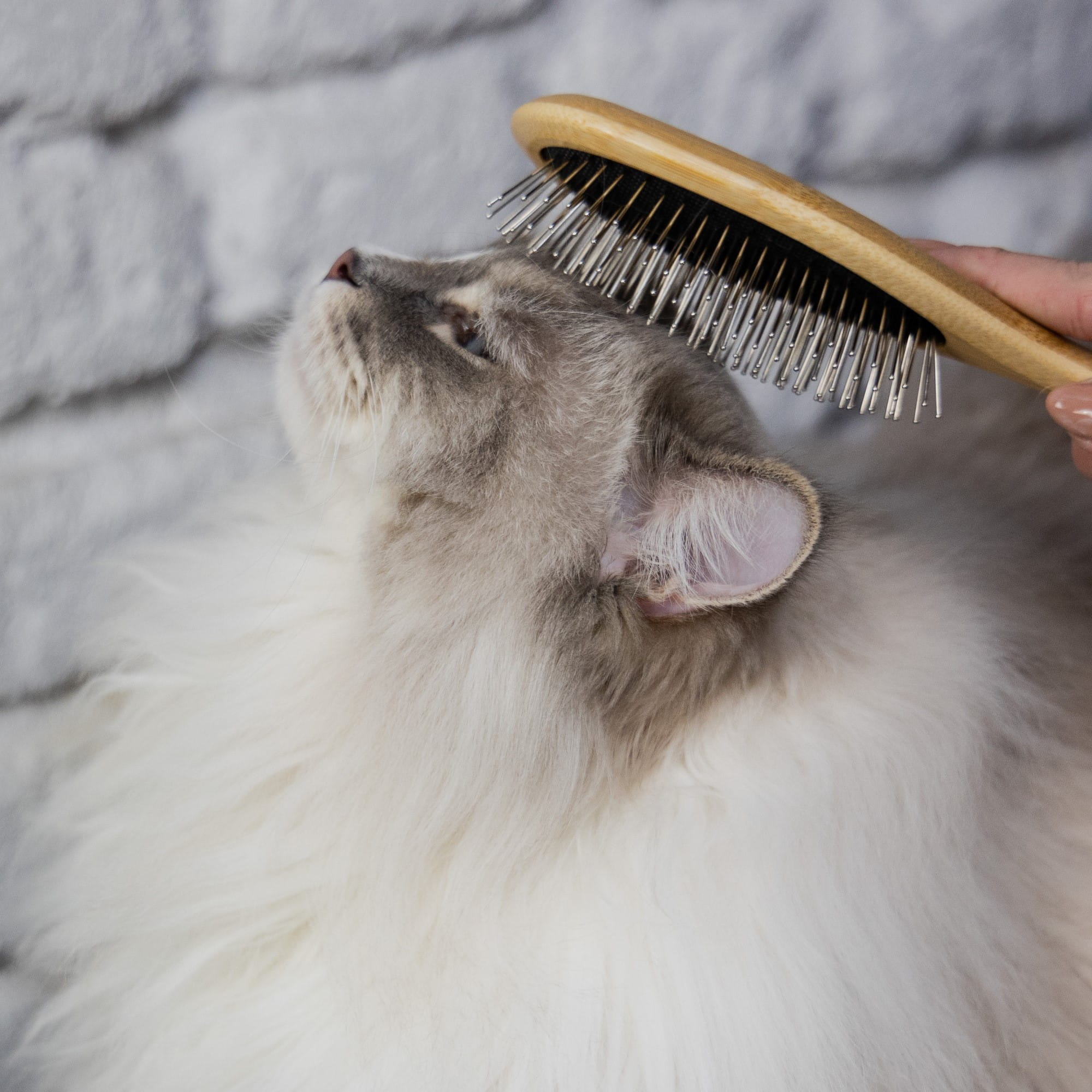 Perie din bambus cu ace metalice