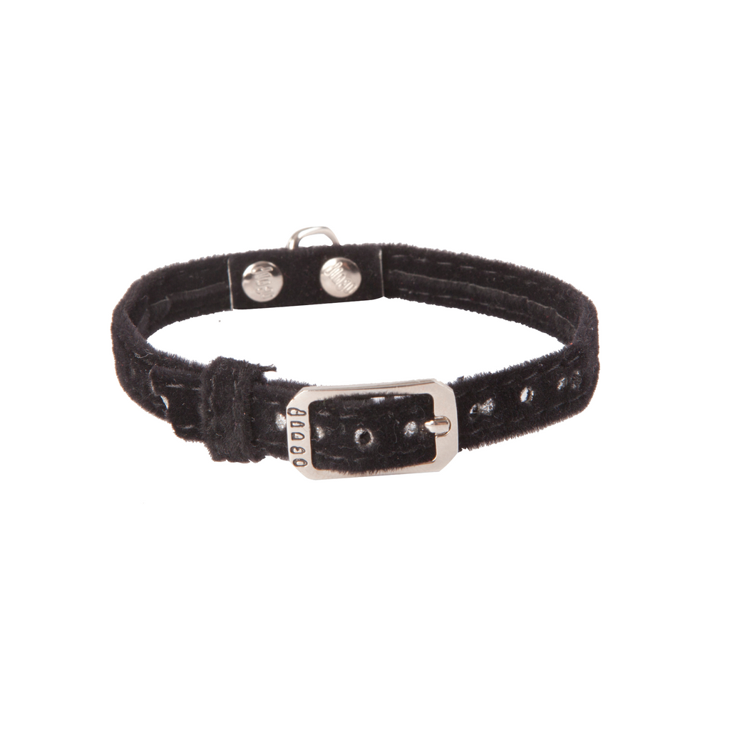 Zgardă brodată welour