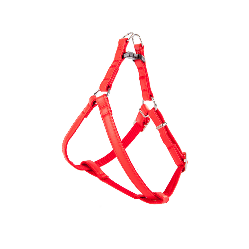 Ham pentru câini FRED