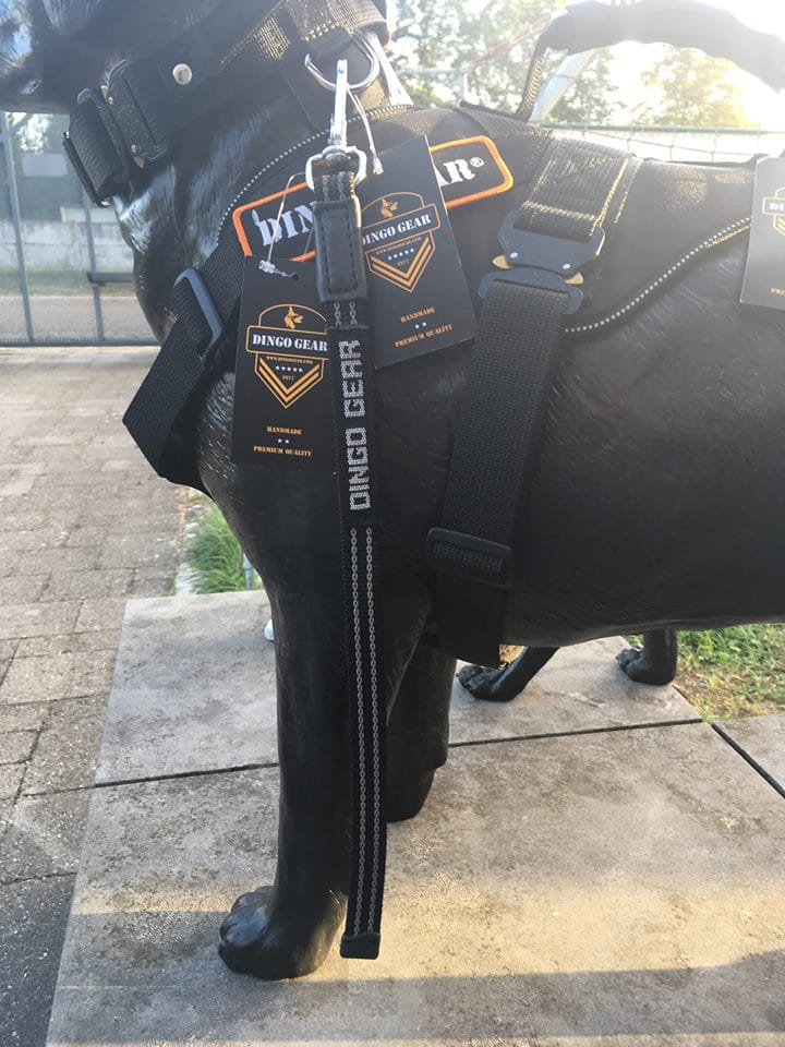 Dingo Gear – Lesă simplă cu mâner din chingă cauciucată