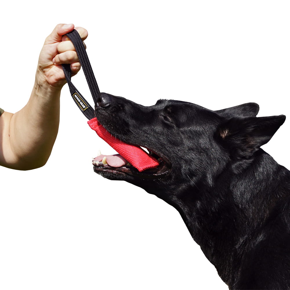 Dingo Gear – Jucărie de tracțiune pentru câini din Nylcot cu un mâner