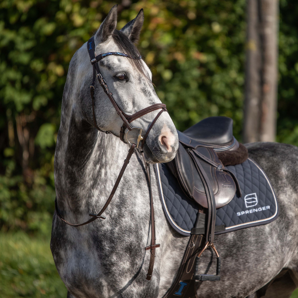 Zăbală Dynamic RS Hunter Jumper cu inele D, 14 mm, cu o articulație
